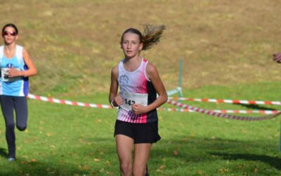 Départementaux de cross et Régionaux de marche en salle